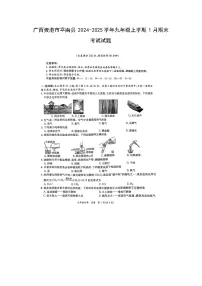 广西贵港市平南县2024-2025学年九年级(上)1月期末考试（扫描版）化学试卷