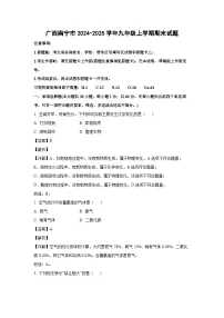 广西南宁市2024-2025学年九年级(上)期末化学试卷（解析版）