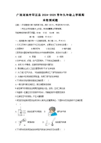 广西河池市环江县2024-2025学年九年级(上)期末检测化学试卷