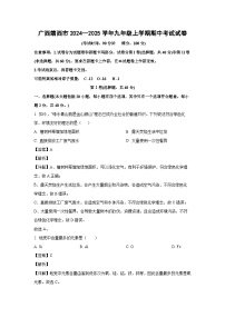 广西靖西市2024--2025学年九年级(上)期中考试化学试卷（解析版）