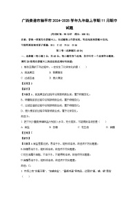 广西贵港市桂平市2024-2025学年九年级(上)11月期中化学试卷（解析版）