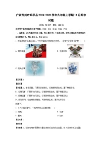 广西贺州市昭平县2024-2025学年九年级(上)11月期中化学试卷（解析版）