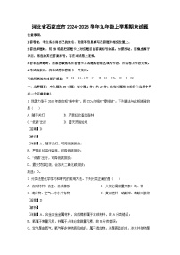 河北省石家庄市新乐市2024-2025学年九年级(上)1月期末化学试卷（解析版）