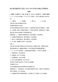 河北省石家庄市长安区2024-2025学年九年级(上)期末化学试卷（解析版）
