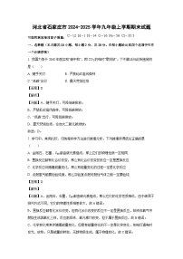 河北省石家庄市2024-2025学年九年级(上)期末化学试卷（解析版）