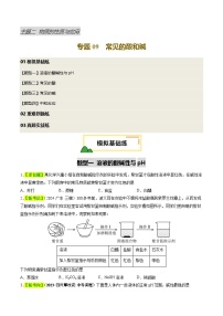 专题09 常见的酸和碱（试题）-2025中考化学一轮复习试题