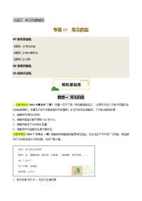 专题10 常见的盐（试题）-2025中考化学一轮复习试题