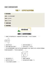 专题12化学式与化学用语（试题）-2025中考化学一轮复习试题