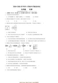 2024～2025学年甘肃省武威市第十七中学九年级下开学摸底考试化学试卷(含答案)
