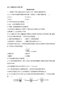 2025人教版化学九年级下册同步练习--期末综合训练1（含解析）
