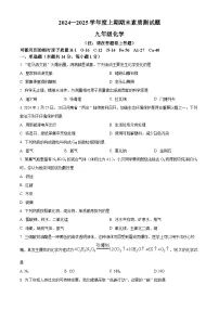 河南省驻马店市泌阳县2024-2025学年九年级上学期期末化学试题（原卷版+解析版）