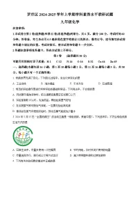 山东省临沂市罗庄区2024-2025学年九年级上学期期末化学试题（原卷版+解析版）