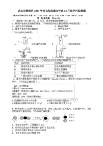 武汉市黄陂区2024-2025学年上学期12月九年级化学试题（word版含答案）