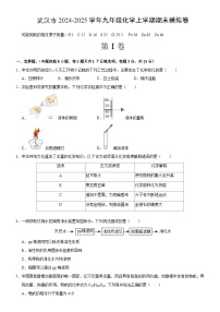武汉市部分学校2024-2025学年上学期元调模拟九年级化学试卷(word版含答案)
