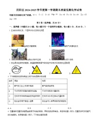 汉阳区2024-2025学年上学期元调九年级化学试题（word版含标答）