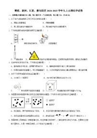 武汉四区区2024-2025学年上学期元调九年级化学试题（word版含标答）