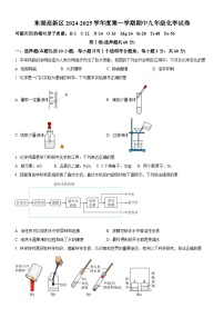 东湖高新区2024-2025学年上学期期中九年级化学试题（word版含答案）