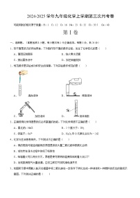 武汉市部分学校2024-2025学年上学期12月九年级化学试卷（word版含答案）