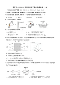 武汉市2024-2025学年九年级元月调考化学模拟卷（一）（word版含答案）