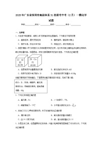 2025年广东省深圳市高级体系31校联考中考（2月）一模化学试题