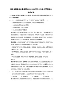 2024~2025学年河北省石家庄市藁城区九年级上学期期末化学试卷（解析版）