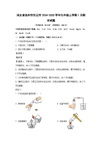 2024~2025学年河北省沧州市任丘市九年级上学期1月期末化学试卷（解析版）