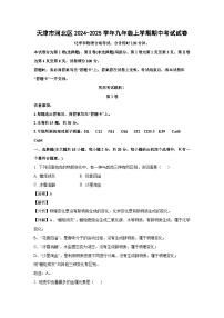 2024~2025学年天津市河北区九年级上学期期中化学试卷（解析版）