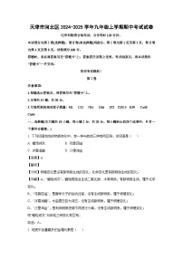 2024~2025学年天津市河北区九年级上学期期中化学试卷（解析版）