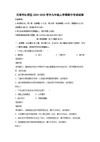 2024~2025学年天津市红桥区九年级上学期期中化学试卷（解析版）