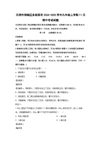 2024~2025学年天津市津南区多校联考九年级上学期11月期中化学试卷（解析版）