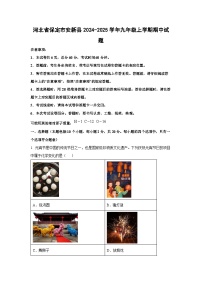 2024-2025学年河北省保定市安新县九年级上学期期中化学试卷