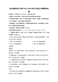 2024-2025学年河北省廊坊市三河市九年级上学期期末化学试卷（解析版）