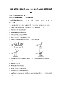 2024-2025学年河北省邢台市某地区九年级上学期期末化学试卷