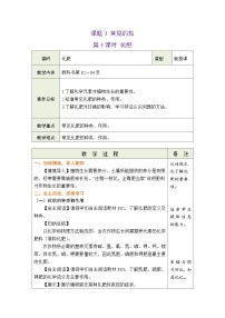 初中化学人教版（2024）九年级下册（2024）课题3 常见的盐第3课时教学设计
