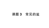 初中化学人教版（2024）九年级下册（2024）课题3 常见的盐作业ppt课件