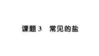 初中化学人教版（2024）九年级下册（2024）第十单元 常见的酸、碱、盐课题3 常见的盐作业课件ppt