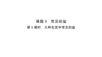 化学九年级下册（2024）第十单元 常见的酸、碱、盐课题3 常见的盐多媒体教学课件ppt