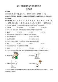河南省南阳市淅川县2024-2025学年九年级上学期期末化学试题（原卷版+解析版）