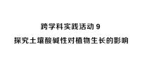 初中化学人教版（2024）九年级下册（2024）第十单元 常见的酸、碱、盐跨学科实践活动9 探究土壤酸碱性对植物生长的影响作业ppt课件