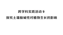 初中化学人教版（2024）九年级下册（2024）第十单元 常见的酸、碱、盐跨学科实践活动9 探究土壤酸碱性对植物生长的影响作业ppt课件