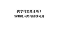人教版（2024）九年级下册（2024）跨学科实践活动7 垃圾的分类与回收利用作业课件ppt
