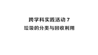 人教版（2024）九年级下册（2024）跨学科实践活动7 垃圾的分类与回收利用作业课件ppt