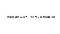 初中化学人教版（2024）九年级下册（2024）跨学科实践活动7 垃圾的分类与回收利用作业ppt课件