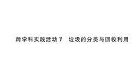 初中化学人教版（2024）九年级下册（2024）跨学科实践活动7 垃圾的分类与回收利用作业ppt课件