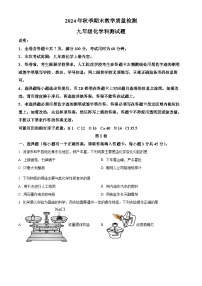广东省河源地区2024-2025学年九年级上学期期末化学试题（原卷版+解析版）