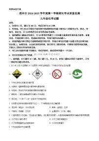 广东省清远市连州市2024-2025学年九年级上学期期末化学试题（原卷版+解析版）