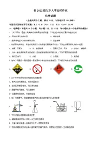 重庆市第一一0中学教育集团2024-2025学年九年级下学期入学定时作业化学试题（原卷版+解析版）