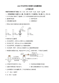 湖南省长沙市雅礼实验中学2024-2025学年九年级下学期入学考试化学试题（原卷版+解析版）