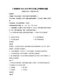广西贵港市2024-2025学年九年级上学期期末化学试卷（解析版）