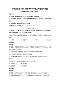广西河池市2024-2025学年九年级上学期期末化学试卷（解析版）